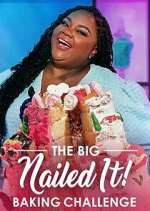Watch The Big Nailed It! Baking Challenge Goojara