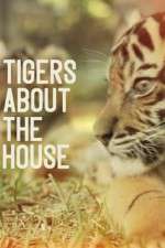 Watch Tigers About the House Goojara
