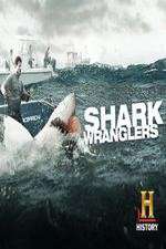 Watch Shark Wranglers Goojara