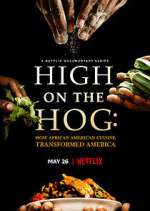 Watch High on the Hog: How African American Cuisine Transformed America Goojara