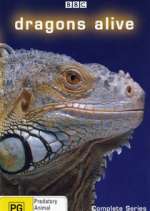 Watch Dragons Alive Goojara