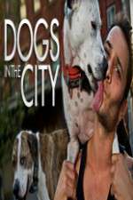 Watch Dogs in the City Goojara