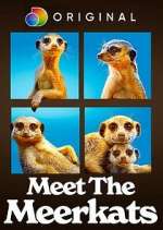 Watch Meet the Meerkats Goojara
