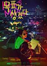 Watch Here's My Plan Goojara