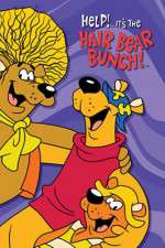 Watch Help!... It's the Hair Bear Bunch Goojara