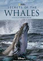 Watch Secrets of the Whales Goojara