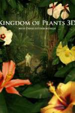 Watch Kingdom of Plants 3D Goojara
