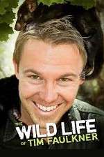 Watch The Wild Life of Tim Faulkner Goojara