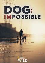 Watch Dog: Impossible Goojara