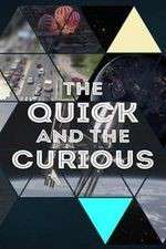 Watch The Quick and the Curious Goojara