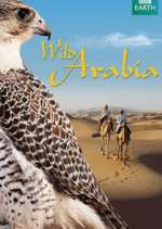Watch Wild Arabia Goojara