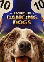 Watch The Secret Life of Dancing Dogs Goojara