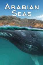 Watch Arabian Seas Goojara