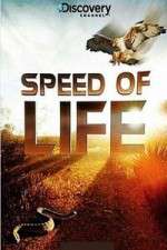 Watch Discovery Channel Speed Of Life Goojara