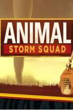 Watch Animal Storm Squad Goojara