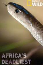 Watch Africas Deadliest Goojara