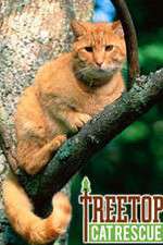 Watch Treetop Cat Rescue Goojara