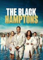 Watch Carl Weber's The Black Hamptons Goojara