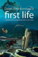 Watch David Attenborough's First Life Goojara