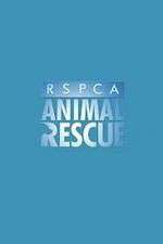 Watch RSPCA Animal Rescue Goojara
