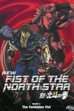 Watch New Fist of the North Star Goojara