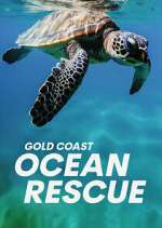 Watch Gold Coast Ocean Rescue Goojara