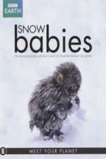 Watch Snow Babies Goojara