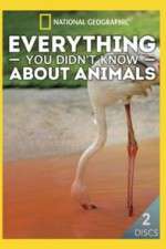 Watch Everything You Didnt Know About Animals Goojara