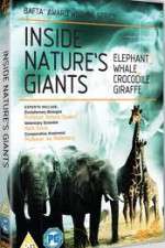 Watch Inside Nature's Giants Goojara