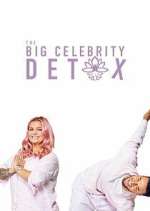 Watch The Big Celebrity Detox Goojara