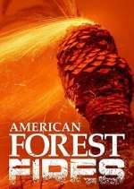 Watch American Forest Fires: The Untold Story Goojara
