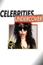 Watch Celebrities Undercover Goojara