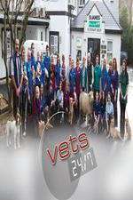 Watch Vets 24/7 Goojara