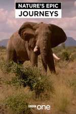 Watch Nature's Epic Journeys Goojara