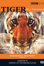 Watch Tiger: Spy in the Jungle Goojara