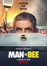 Watch Man Vs Bee Goojara
