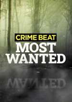 Watch Crime Beat: Most Wanted Goojara
