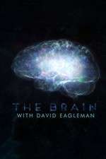 Watch The Brain with Dr David Eagleman Goojara