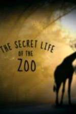 Watch The Secret Life of the Zoo Goojara
