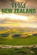 Watch Wild New Zealand Goojara